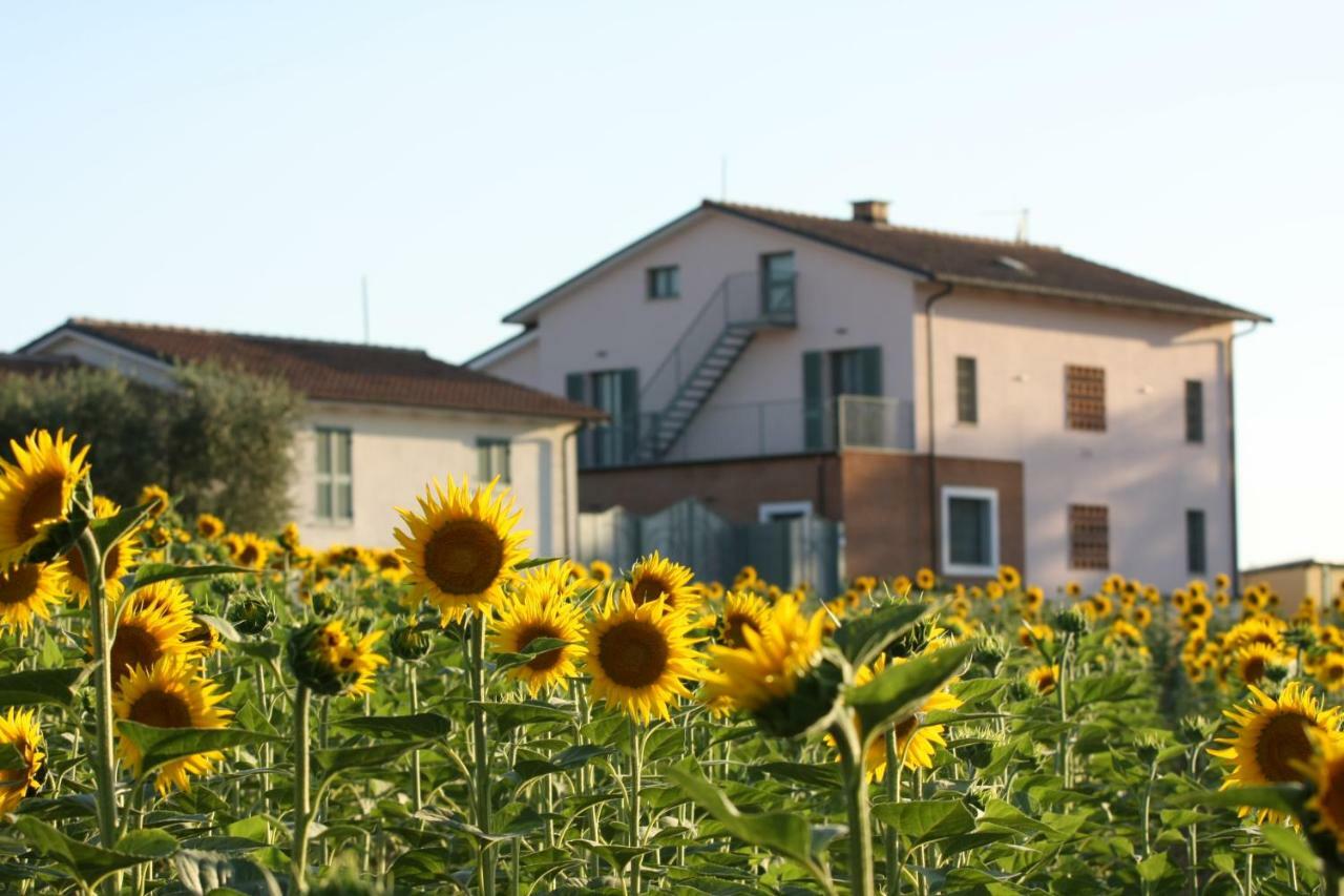 La Collina Del Girasole Villa Montecastrilli ภายนอก รูปภาพ