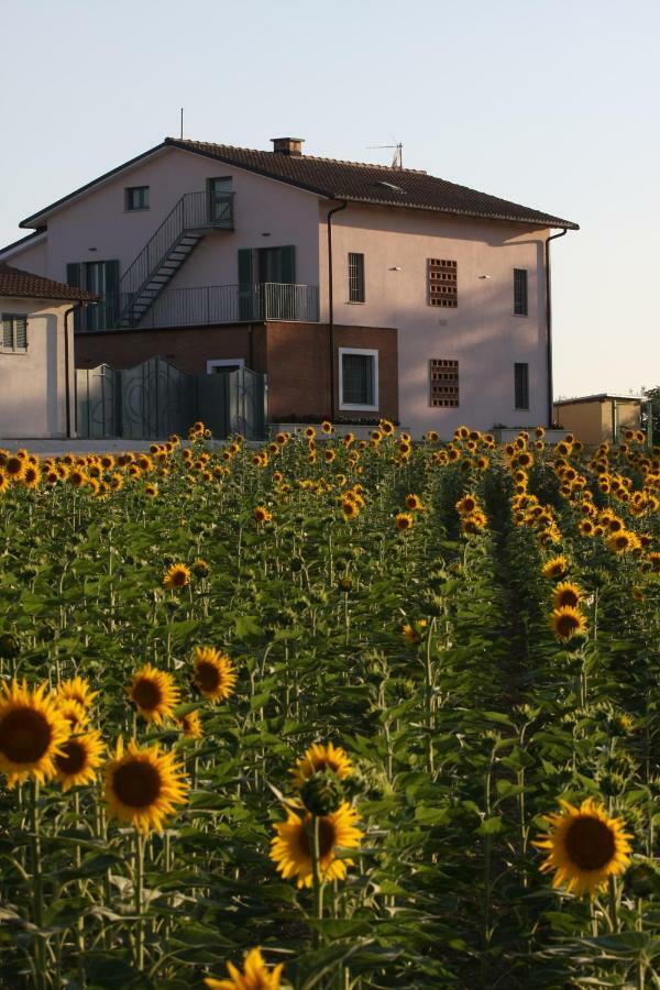 La Collina Del Girasole Villa Montecastrilli ภายนอก รูปภาพ